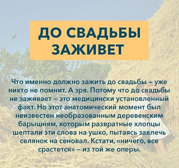 Языковый Приказ - 1 (закрытая тема) Kryilatyie-vyirazheniya-Do-svadbyi-zazhivet