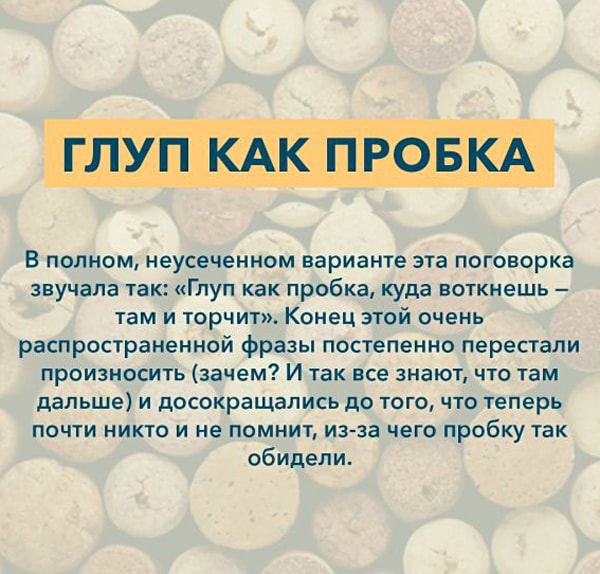 Языковый Приказ - 1 (закрытая тема) Kryilatyie-vyirazheniya-Glup-kak-probka