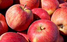 18 интересных фактов о яблоках
