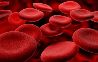 Интересные факты о крови