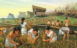 История сельского хозяйства древних