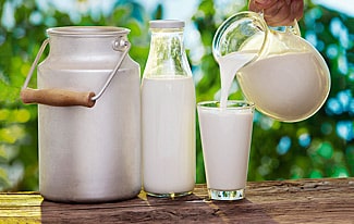 15 интересных фактов о молоке