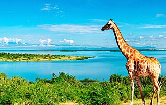 12 интересных фактов о реках Африки