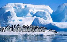20 интересных фактов об Антарктике