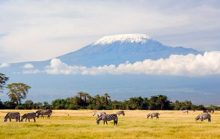 12 интересных фактов о Килиманджаро